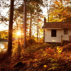 Пазл: Осенний домик