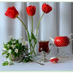 Пазл: Первоцветы