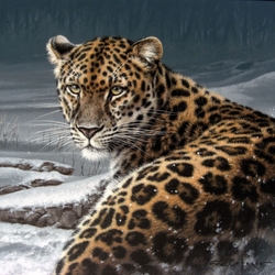 Пазл: Дальневосточный леопард