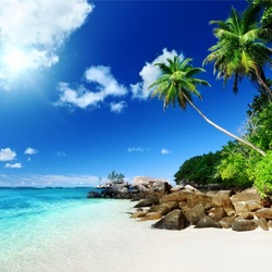 Пазл: На берегу 