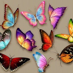 Пазл: Бабочка