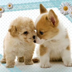 Пазл: Малыши