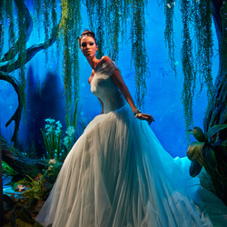 Пазл: Принцесса