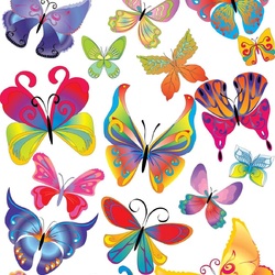 Пазл: Бабочки