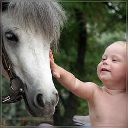 Пазл: Маленькая мечта