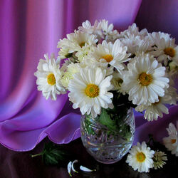 Пазл: Ромашки