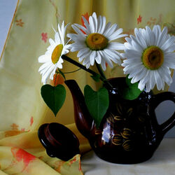 Пазл: Натюрморт