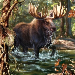 Пазл: Лось