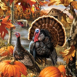 Пазл: Индюки