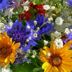 Пазл: Яркий букет