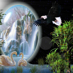 Пазл: Учитесь верности у лебедей