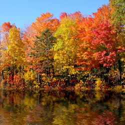 Пазл: Осень