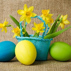 Пазл: Нарциссы