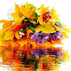 Пазл: Краски осени