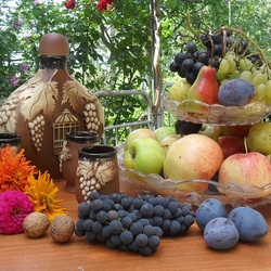 Пазл: Урожай удался