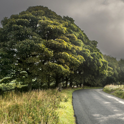Пазл: Эх, дороги