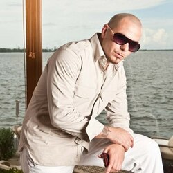Пазл: Pitbull