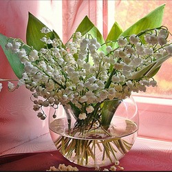 Пазл: Весенние цветы