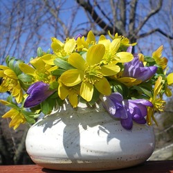 Пазл: Весенние цветы