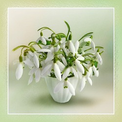 Пазл: Весенние цветы