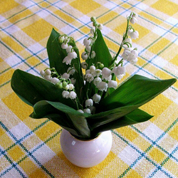 Пазл: Весенние цветы