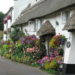 Пазл: Деревенский пейзаж