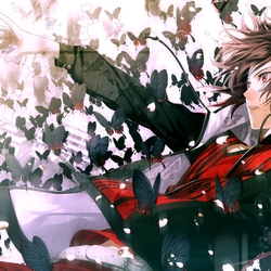 Пазл: Бабочки