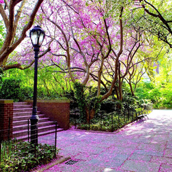 Пазл: Сиреневый туман