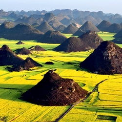 Пазл: Чудеса природы