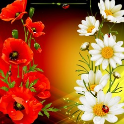 Пазл: Маки и ромашки