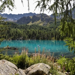 Пазл: Озеро