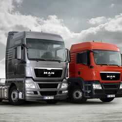 Пазл: Два близнеца