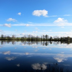 Пазл: Октябрьские отражения
