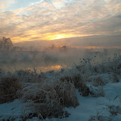 Пазл: По берегу