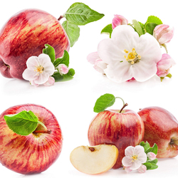 Пазл: Аромат яблок