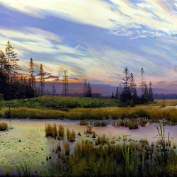 Пазл: Красивое болото