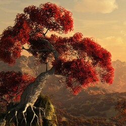 Пазл: Дерево на скале