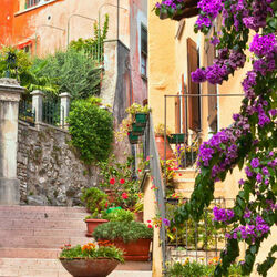 Пазл: Цветочный дворик