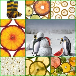 Пазл: Летняя зима