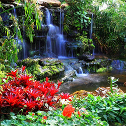 Пазл: Маленький водопад