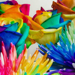 Пазл: Радужные цветы