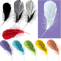 Пазл: Перышки