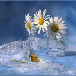 Пазл: Ромашки