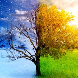 Пазл: Времена года