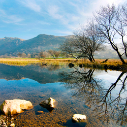 Пазл: Берег