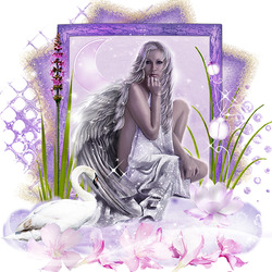 Пазл: Белый лебедь