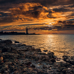 Пазл: Предвестник ночи