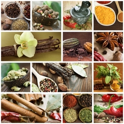 Пазл: Специи