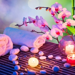 Пазл: Орхидея