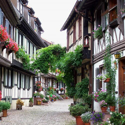 Пазл: Улица в Гангенбахе